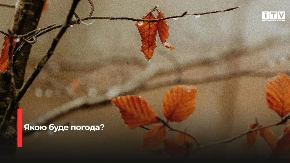Синоптики прогнозують дощі на Рівненщині
