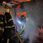 У селі Рудківці Стрийського району згоріли господарська будівля та авто