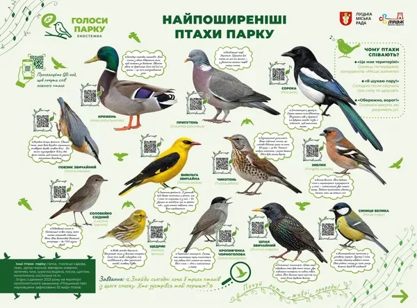 У Луцьку відкрили незвичайну екостежку: у парку можна почути голоси птахів, кажанів і бобрів (фото)