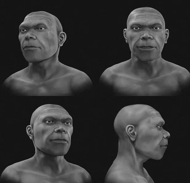 Ученые воспроизвели лицо Homo sapiens в возрасте 315 тысяч лет Вчені відтворили обличчя Homo sapiens віком 315 тисяч років