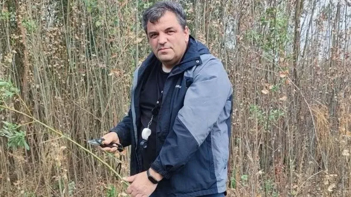На дні колишнього Каховського водосховища верби сягають 9 метрів