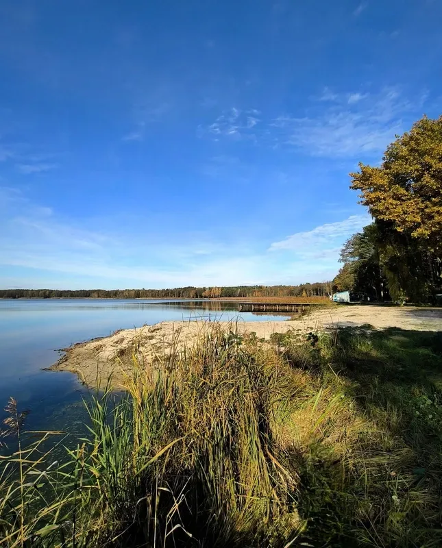 Осінній спокій озера Пісочне у Ковельському районі (фото)