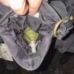 У Буську затримали чоловіка за підозрою в незаконному зберіганні гранати та димової шашки
