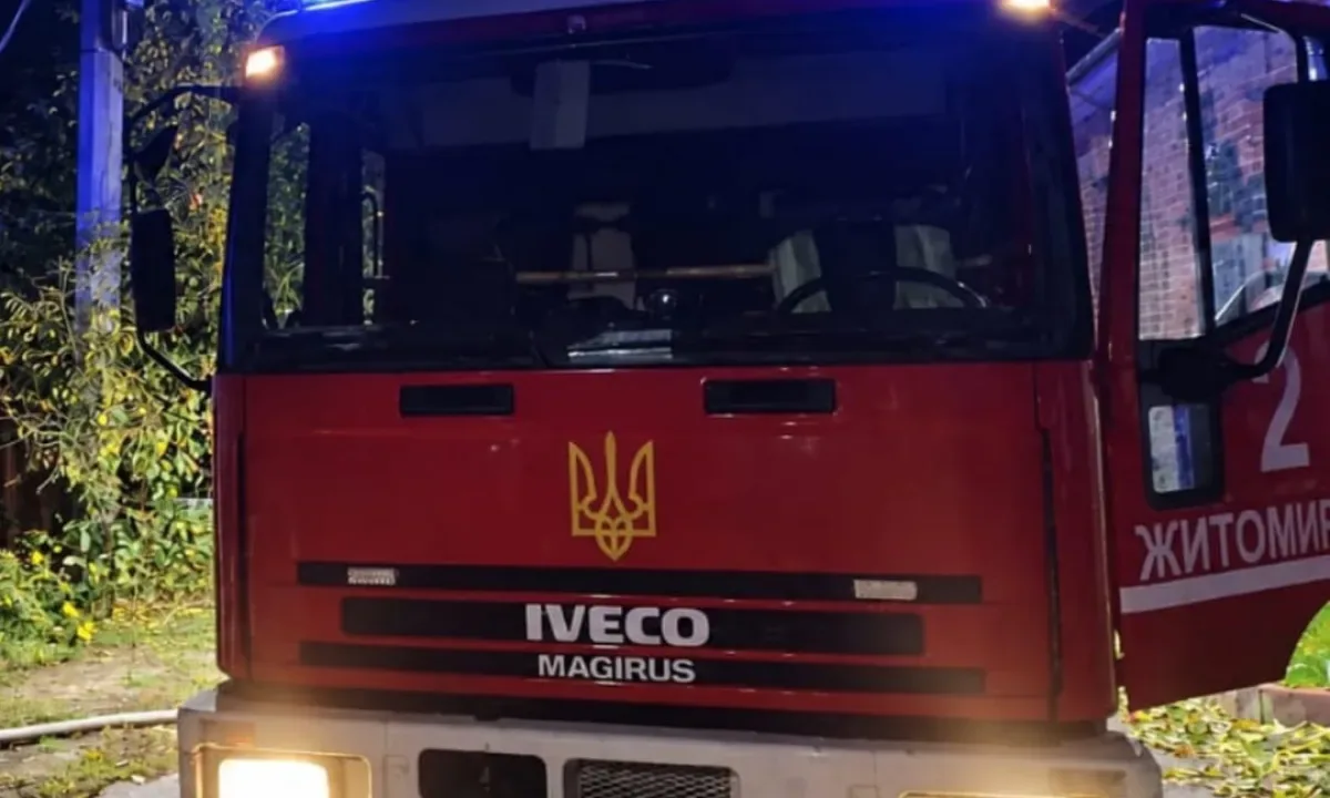 Спасатели вынесли пожилую женщину из горящего дома в Житомире — она не могла ходить. ФОТО