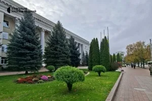 Нічна температура опуститься до +6: погода в останній тиждень жовтня на Кіровоградщині