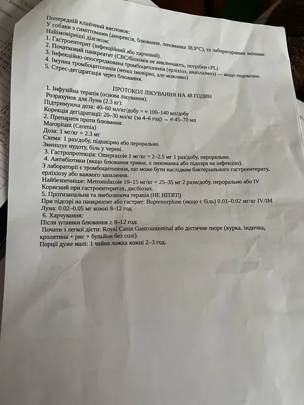 «Добре, що звернулись в інший заклад»: власниці тварин скаржаться на луцьку ветклініку (фото)