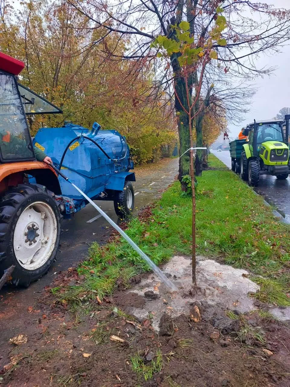 На столичній вулиці Борщагівській висадили 20 лип (фото) На вулиці Борщагівській висадили 20 лип (фото)