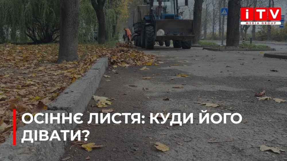 Як утилізовувати опале листя у Рівному? (ВІДЕО)