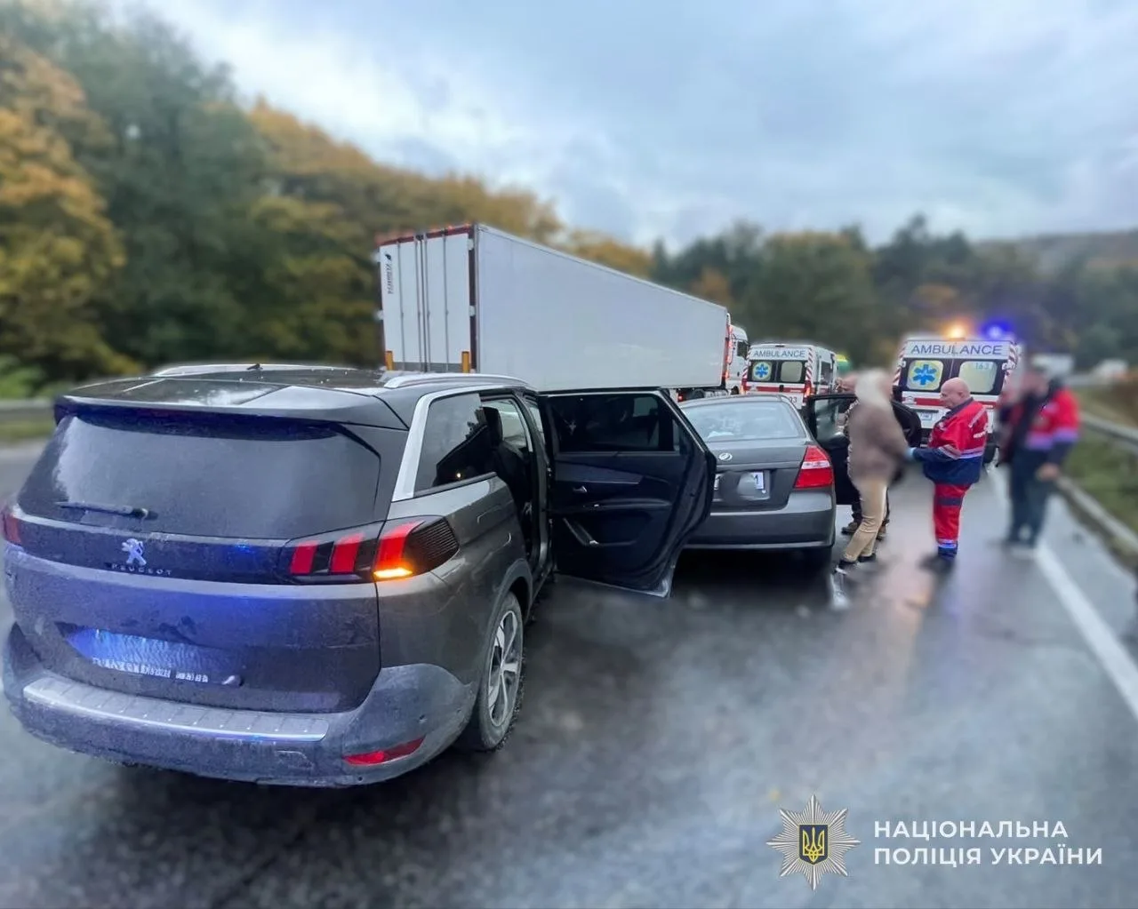 Автотроща в Чишках на Львівщині: шестеро травмованих з дітьми