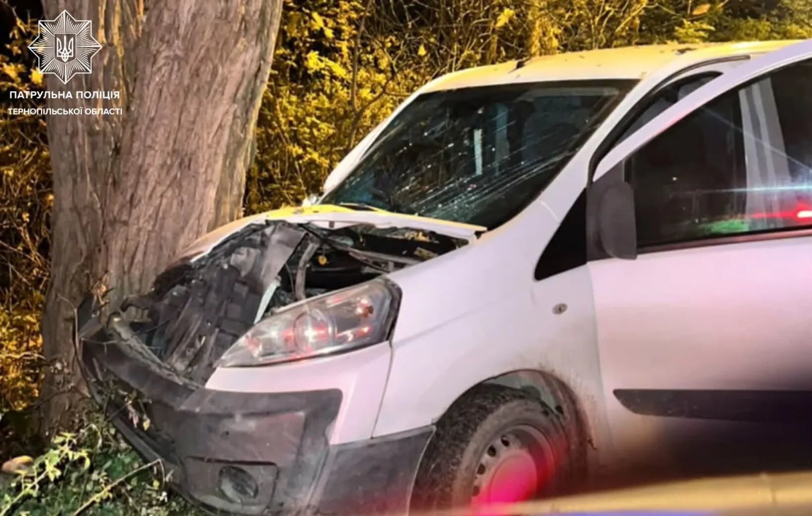 У Тернополі нетверезий водій Peugeot в’їхав у дерево