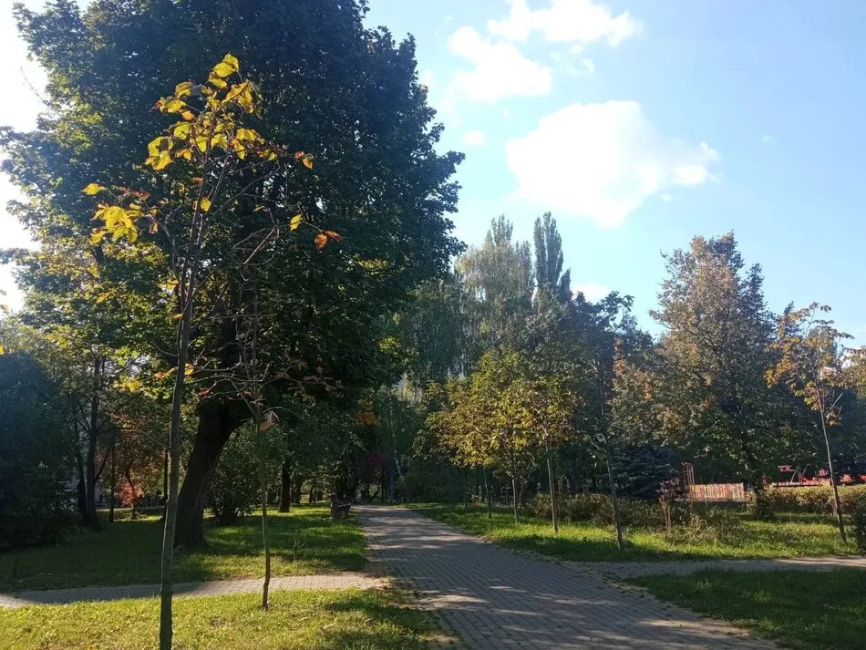 До 24° і туман вранці: якою буде погода в Україні 8 жовтня
