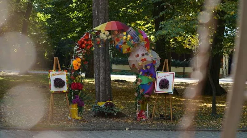 У центральному парку імені Тараса Шевченка в Чернівцях облаштовані нові осінні фотозони У центральному парку імені Тараса Шевченка в Чернівцях облаштовані нові осінні фотозони