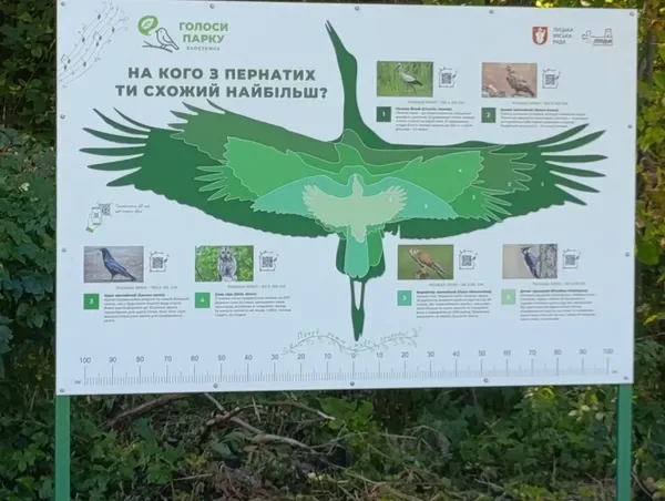 У Луцьку відкрили незвичайну екостежку: у парку можна почути голоси птахів, кажанів і бобрів (фото)
