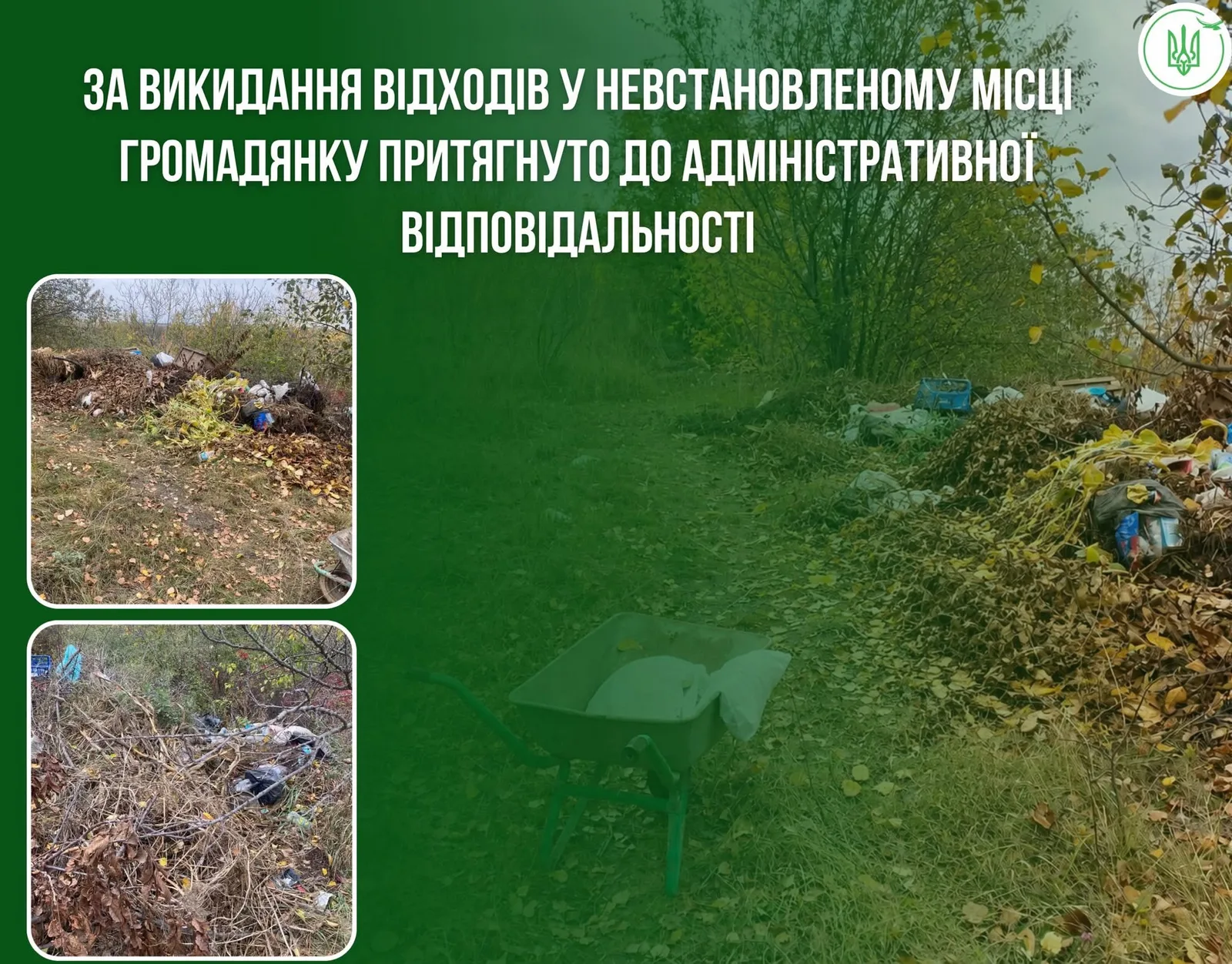 На Тернопільщині жінку спіймали на викиданні сміття: загрожує штраф до 1360 гривень