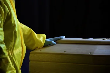 У Нідерландах зросла кількість смертей від вірусу Західного Нілу