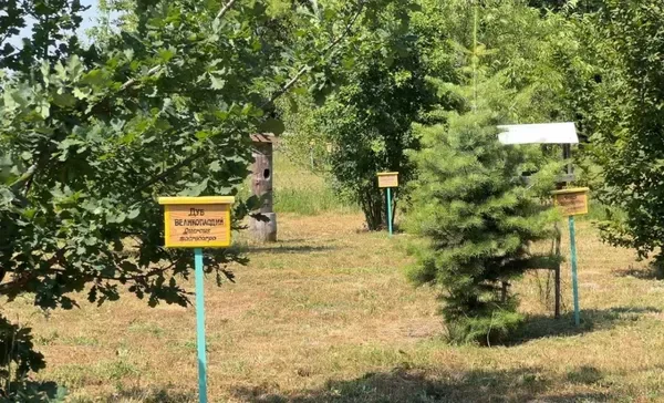 Єдиний в області: у селі на Волині створили унікальний шкільний дендропарк та «зелений клас» (фото)