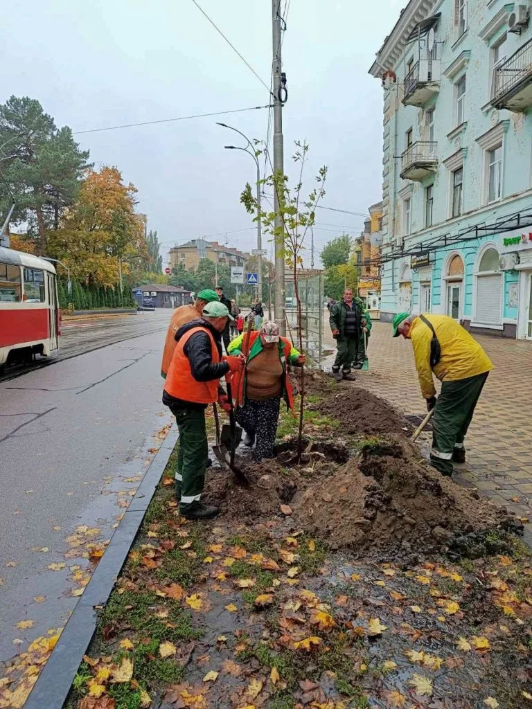 У двох районах столиці за тиждень висадили маже сотню молодих дерев У двох районах столиці за тиждень висадили маже сотню молодих дерев