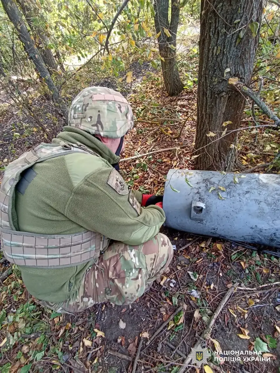 Знешкодили бойову частину крилатої ракети Х-101, яка не вибухнула біля будинків у Світловодську