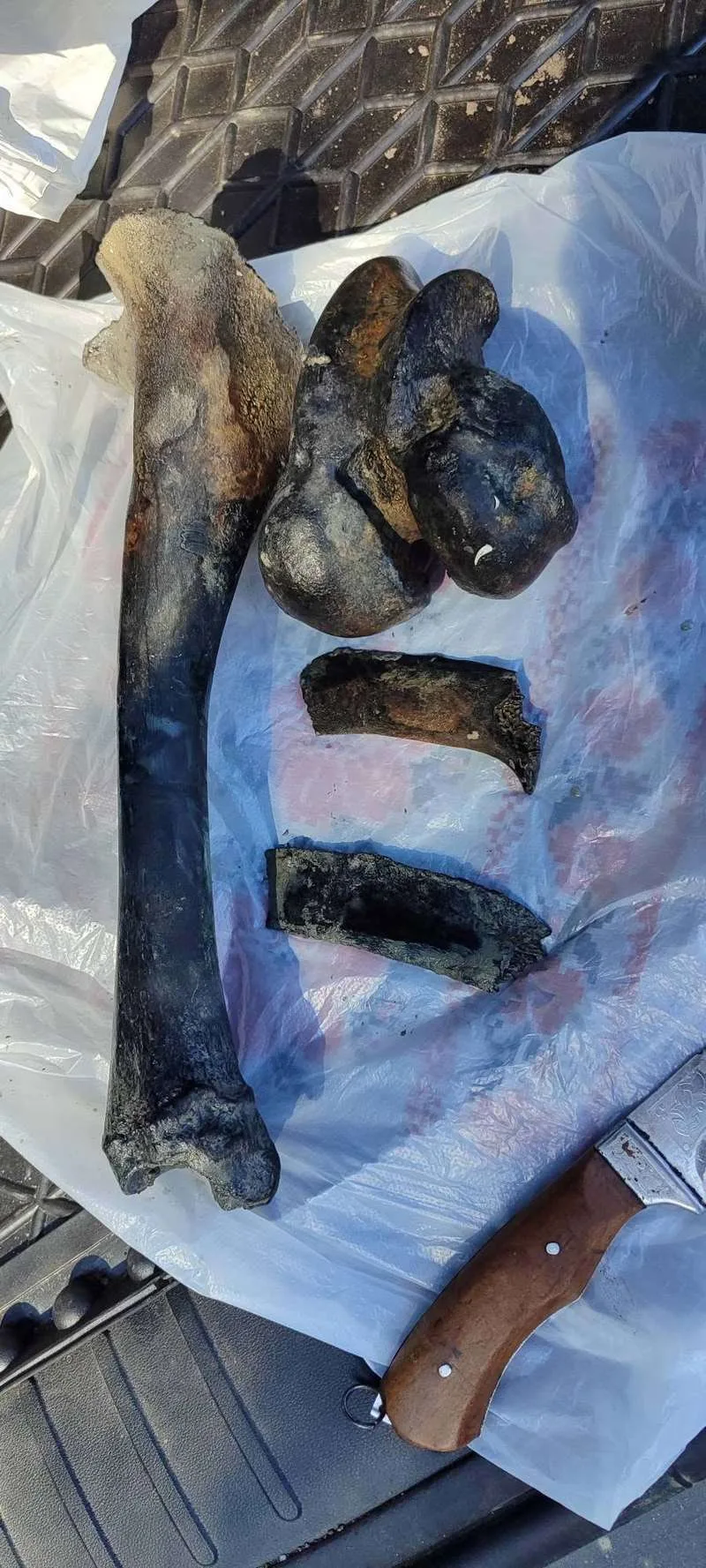 (ФОТО) Дністер міліє і на Буковині все більше історичних знахідок: сліди давніх поселень і доісторичних тварин