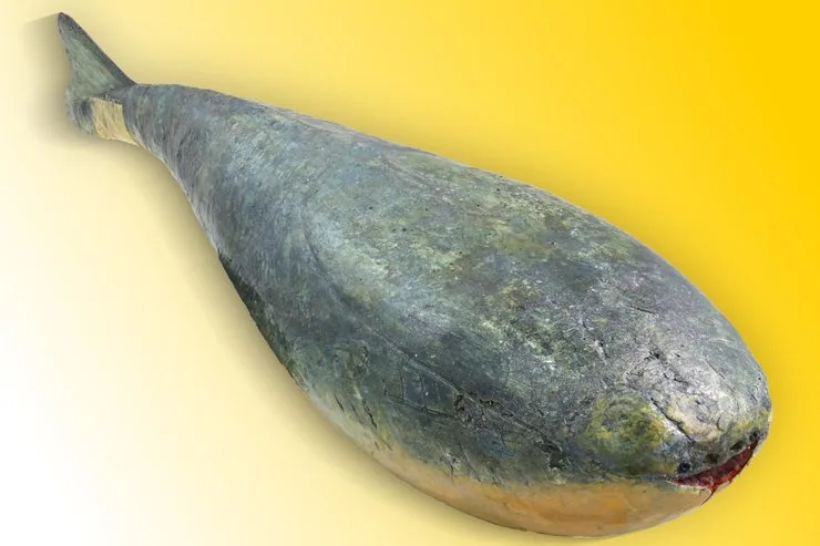 рыба скабамбаспис