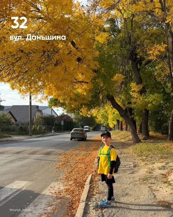 У Луцьку обирають найкрасивіше дерево міста (фото)