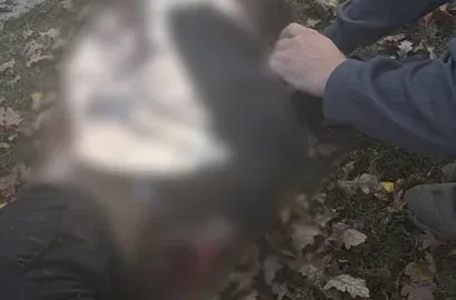 Наслідки російського удару по парку біля кафе в Новій Водолазі на Харківщині