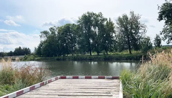 5-кілограмові коропи та спокій: чим приваблює озеро Татарка на Волині (фото)