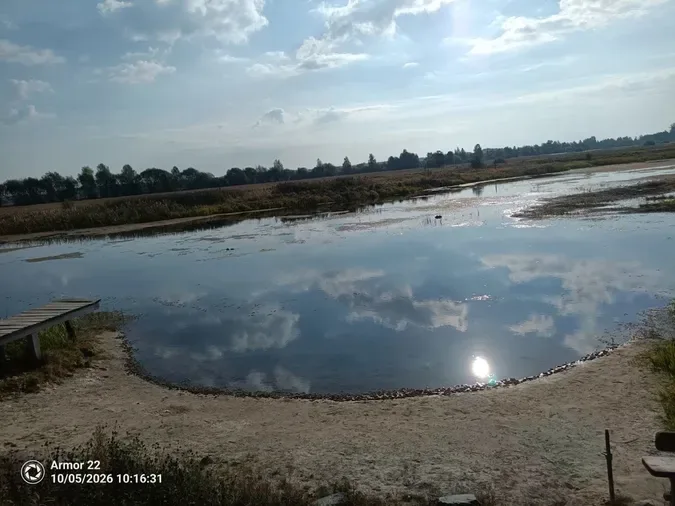 Стохід стрімко міліє: на Волині річка місцями повністю пересохла (фото)