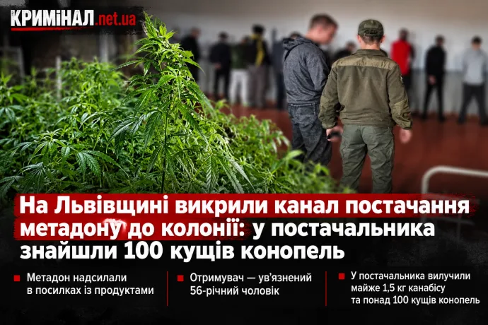 На Львівщині викрили канал постачання метадону до колонії: у постачальника знайшли 100 кущів конопель