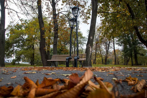 Сухо, но холодно: дневная температура в Одессе скоро опустится ниже 8°C