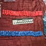 Мешканця Нового Роздолу судитимуть за зберігання понад 1,2 кг наркотиків і психотропів