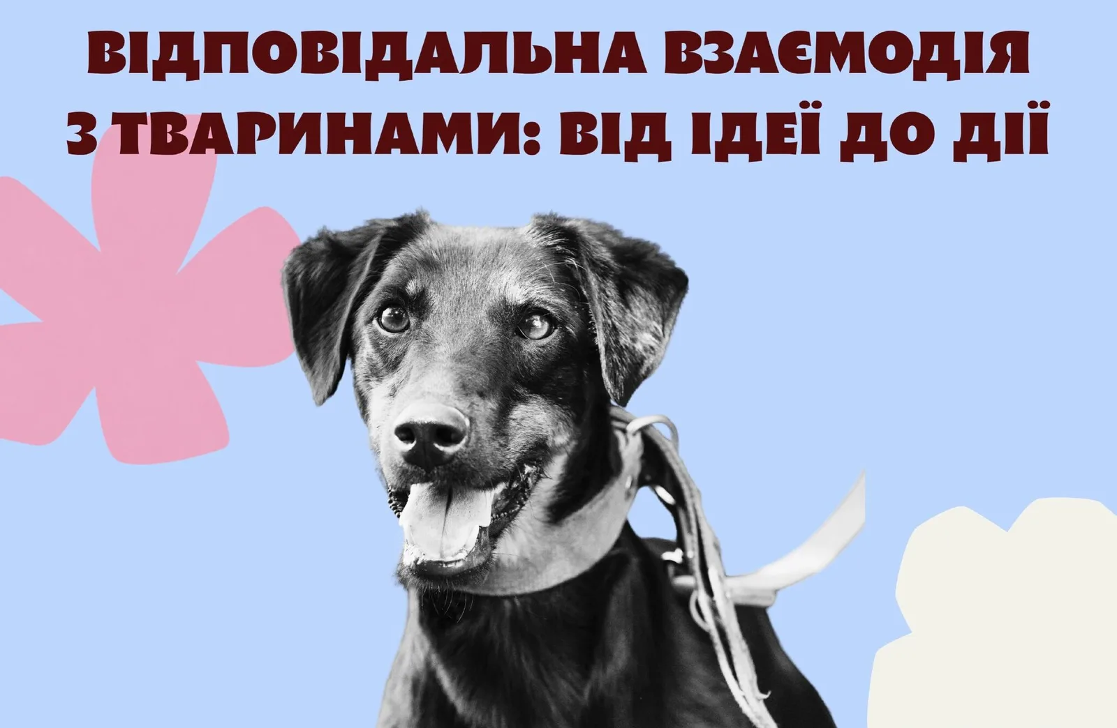 У Черкасах стартує безоплатний освітньо-практичний курс про допомогу та взаємодію з тваринами