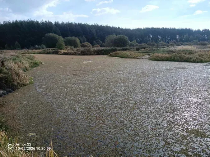 Стохід стрімко міліє: на Волині річка місцями повністю пересохла (фото)