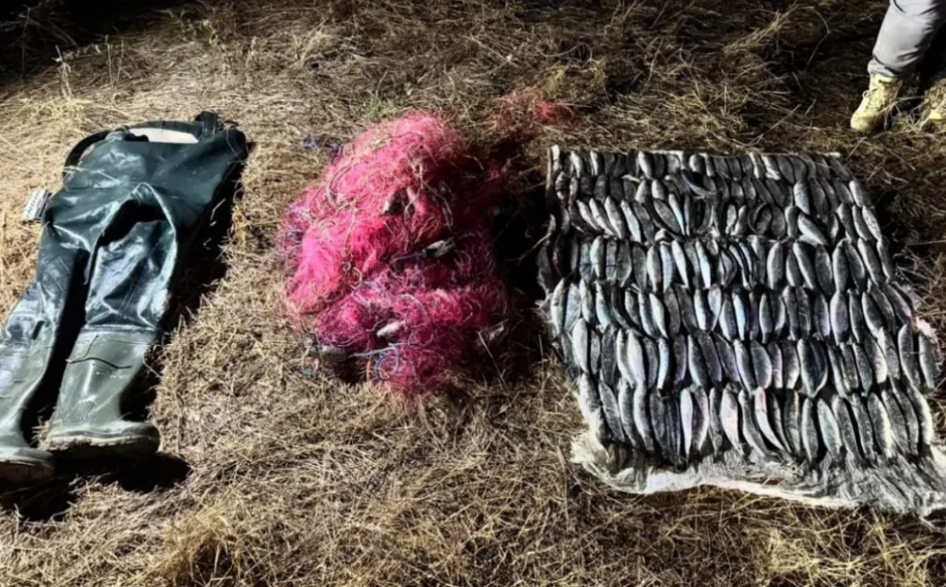 Незаконний вилов кефалі у Національному природному парку «Тузловські лимани»