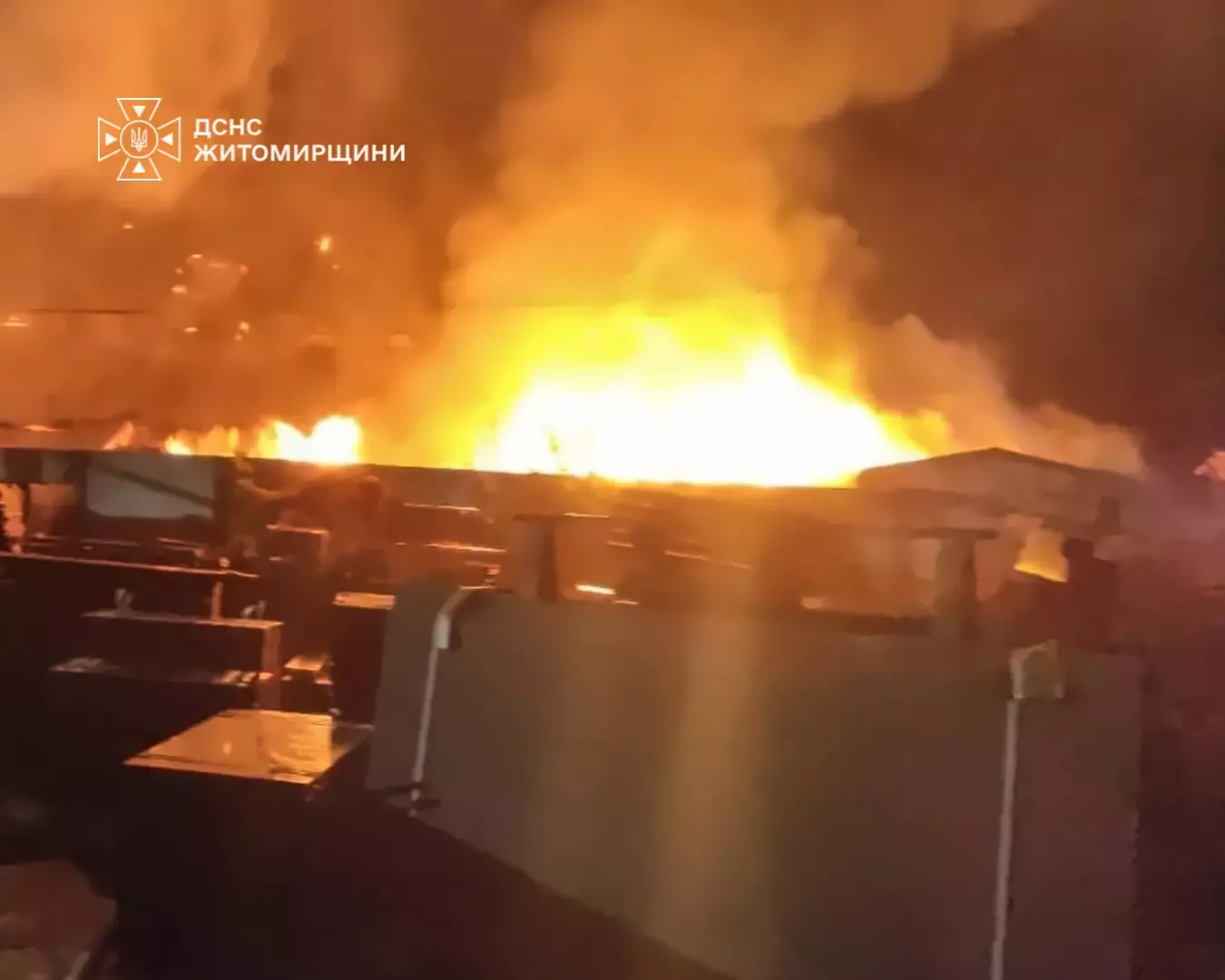 Ліквідація пожежі рятувальниками та лісниками у Коростишеві