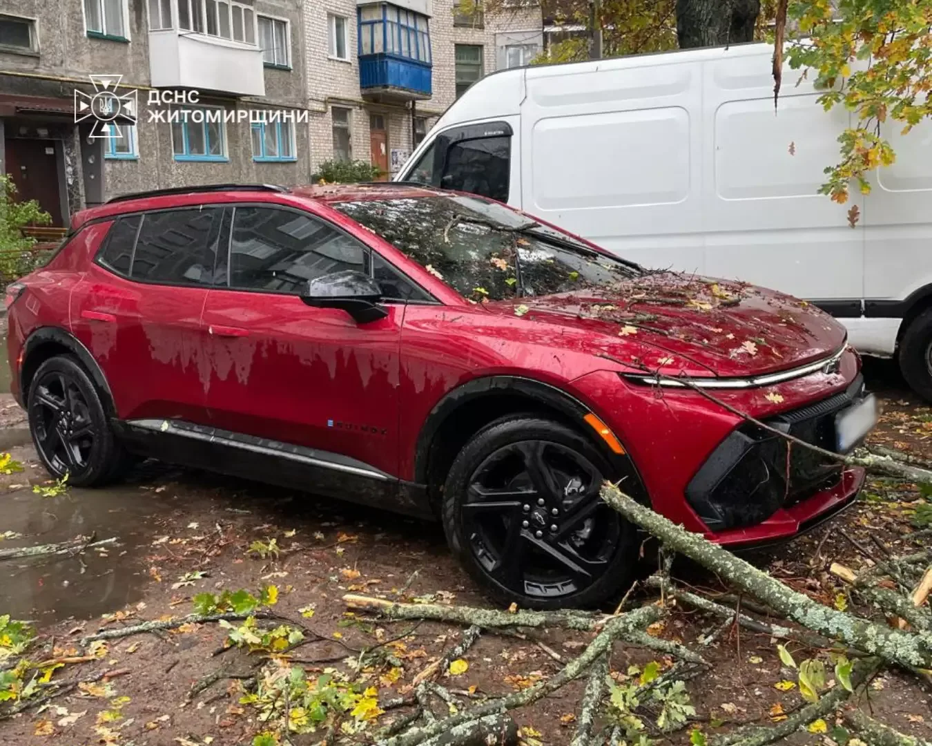 Рятувальники ДСНС розпилюють бензопилою дерево на авто у Коростені