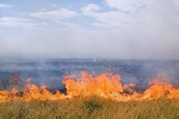 Шкода природно-заповідному фонду Херсонщини через війну перевищила ₴1,28 трильйона