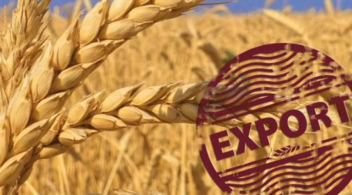 Україна у вересні експортувала 2,4 млн тонн агропродукції