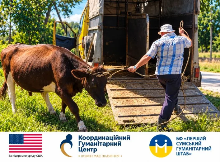 На Сумщині запустили проєкт евакуації родин із домашніми тваринами та фінансовою підтримкою