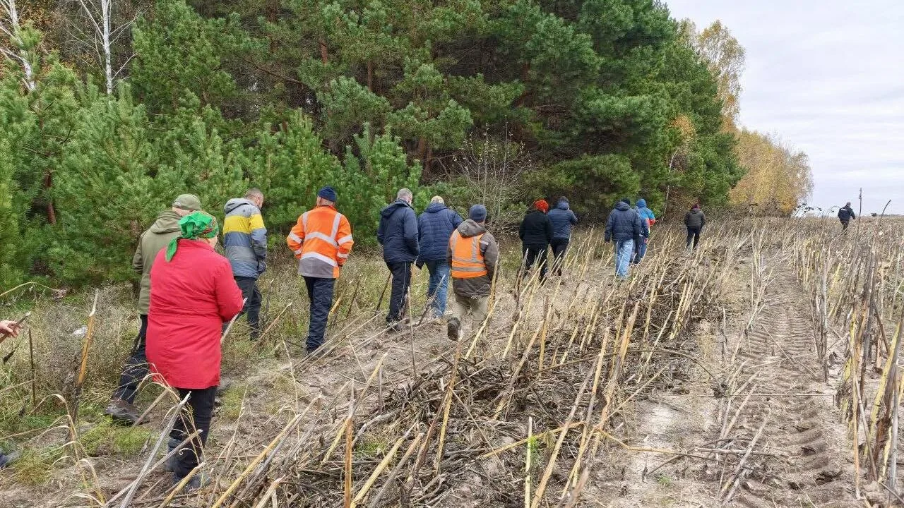 Рятувальники, поліція та місцеві жителі шукають зниклу 79-річну грибницю на Чернігівщині (Фото)