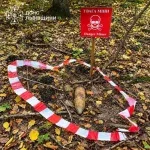 На Львівщині грибники натрапили на два боєприпаси часів Другої світової війни