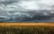 В Украину придут дожди и заморозки