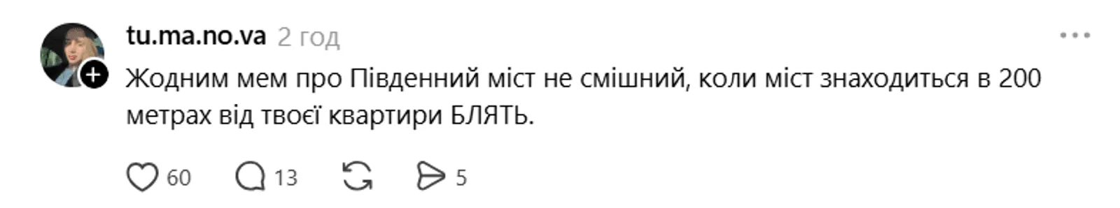 Реакция жительницы Киева на мемы о Южном мосте, расположенном рядом с её домом