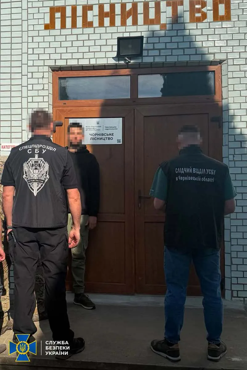 Деревину на десятки мільйонів вивозили з держпідприємства на Буковині
