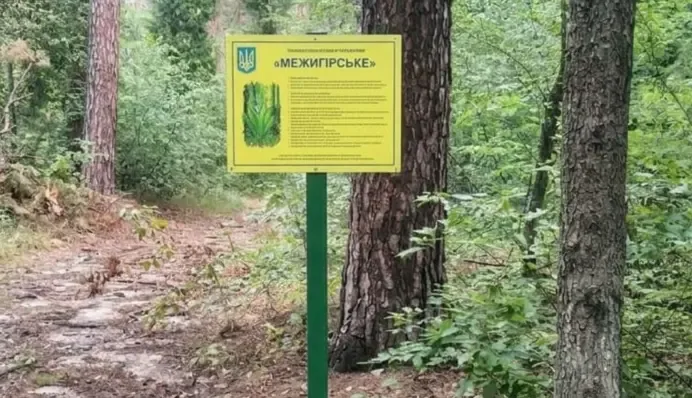 Прокуратура через суд вимагає встановити межі заказника "Межигірське": деталі