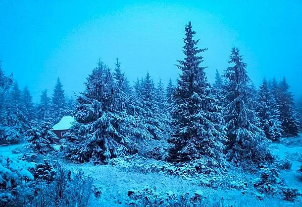 До -5°C у Карпатах: туристів закликають відкласти походи через негоду
