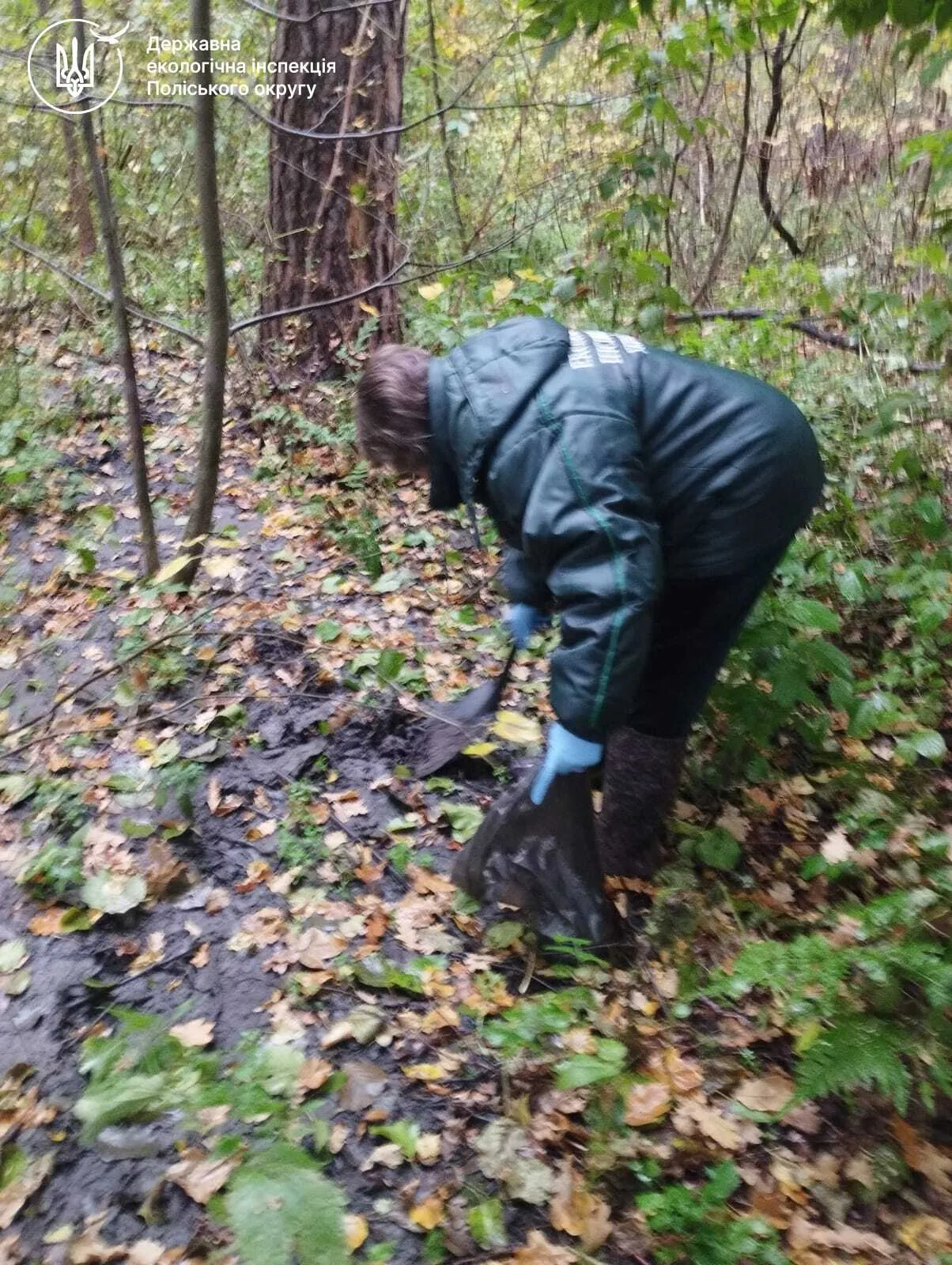 Процес відбору проб ґрунту спеціалістами екологічної інспекції