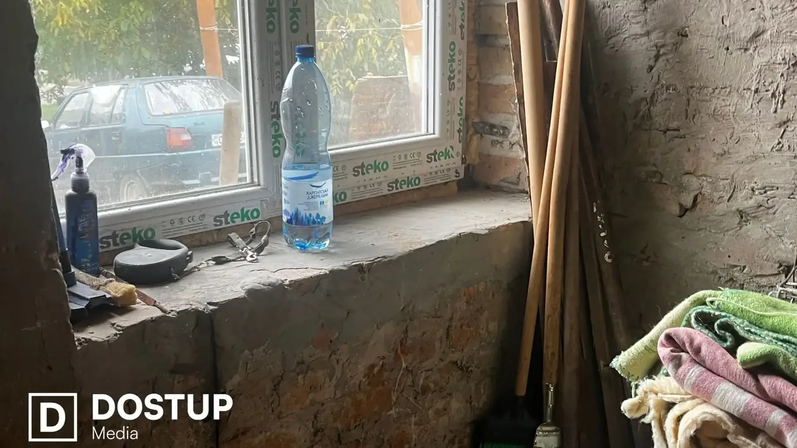 “Ситуацію потрібно терміново вирішувати”: що відбувається із безпритульними собаками після стерилізації у Кропивницькому