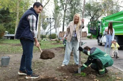 Висаджування молодих кленів і верб на Флотському бульварі в Миколаєві