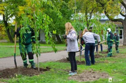 Висадка молодих сакур у парку "Юних героїв" у Миколаєві